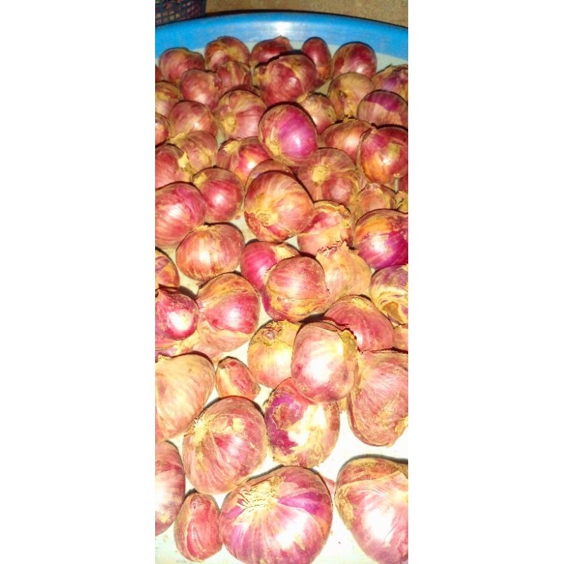 

BAWANG MERAH BESAR 1 KG KUALITAS BAGUS MURAAHH