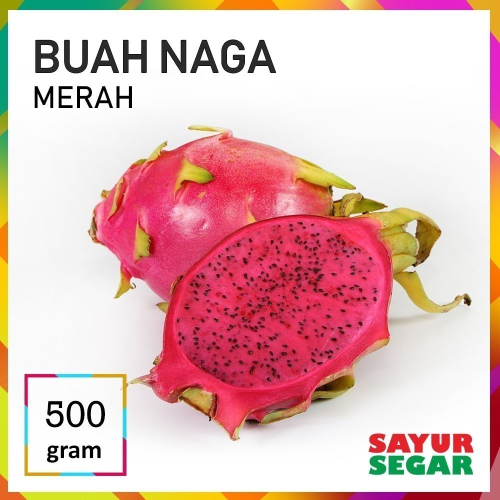 

Buah Naga 500G Fresh