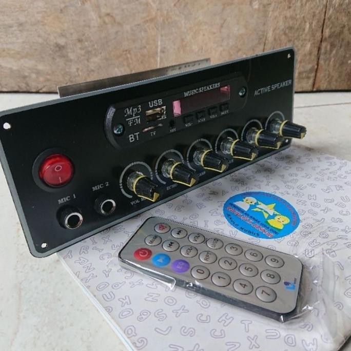 Modul Kit Speaker Aktif Mono Echo 150 Watt Filter Subwofer