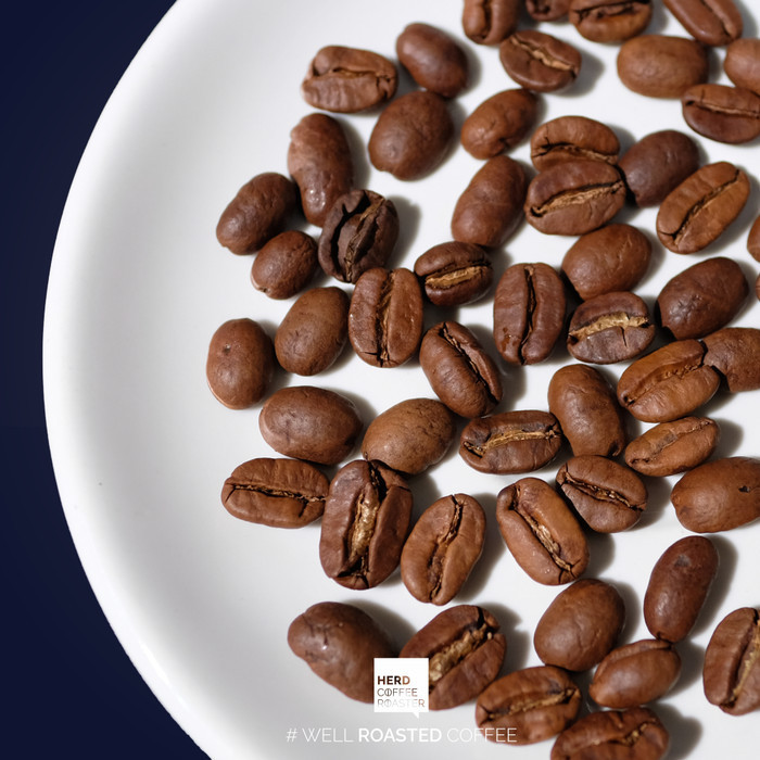 

Gayo Meriah Wine Single Origin Manual Brew Filter 1 Kg Herd Coffee