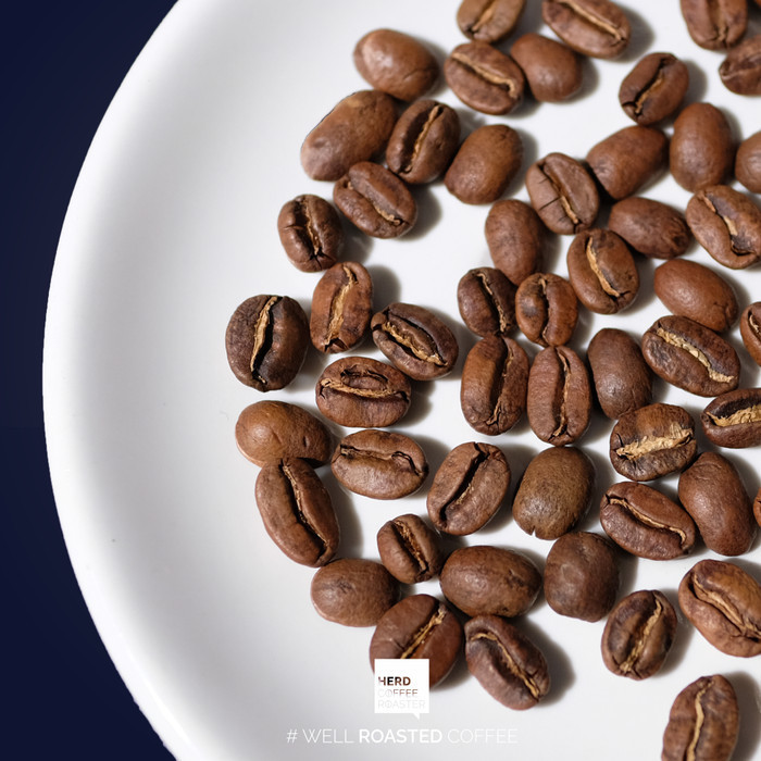 

Kopi Papua Nutmeg Single Origin Manual Brew Filter Coffee
