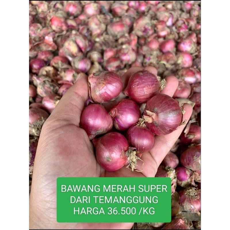 

Bawang merah super kering 1000gram Super Besar Berkualitas