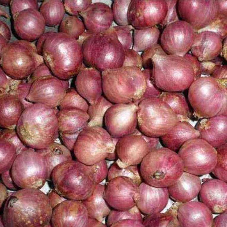 

Bawang Merah Nganjuk 1Kg Bersih dan Kering Super Besar Berkualitas