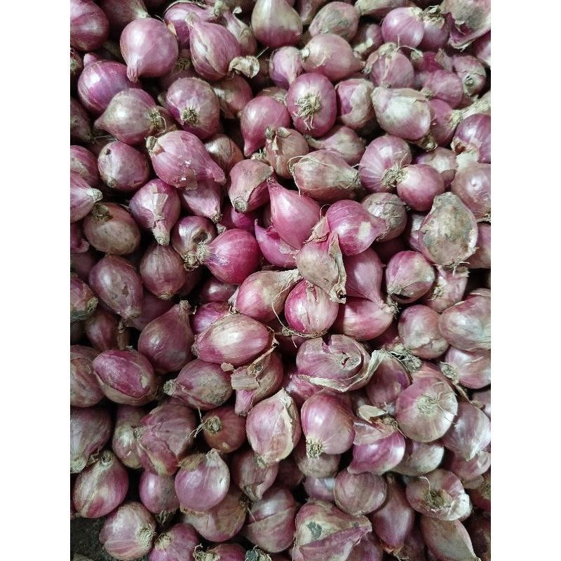 

bawang merah 1 kg campur|bawang merah murah|kualitas|bumbu dapur/asli nganjuk Super Besar Berkualitas