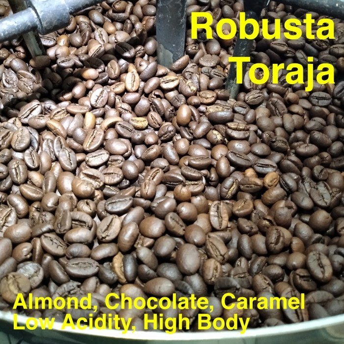 

Ready Biji Kopi Bubuk Robusta Toraja 1 kg 1kg Kopi Susu