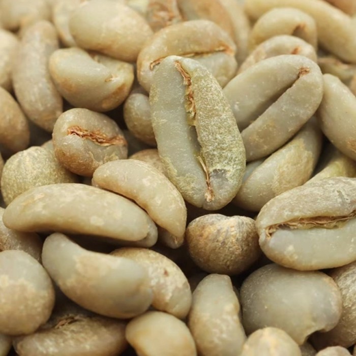 

Ready Ethiopia Oromia Gelana Geisha Natural 2023 Green Beans