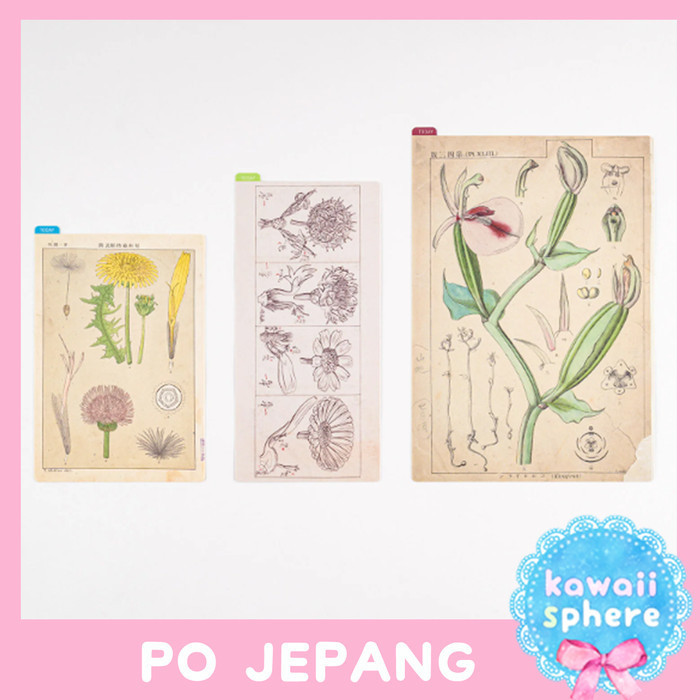 

Hobonichi Pencil Board Tomitaro Makino Botanic Art Plastic Sheet K01