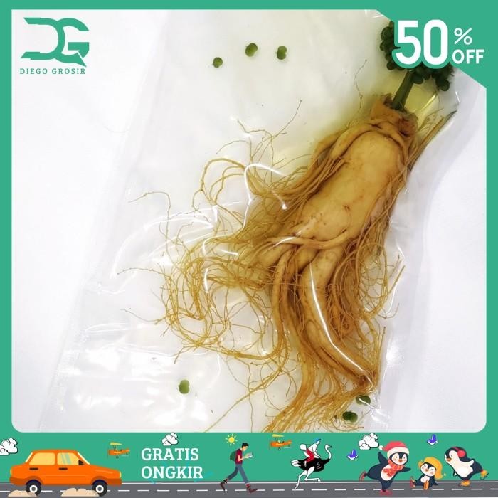 

GINSENG SEGAR BESAR 400 GRAM / FRESH GINSENG ROOT VACUUM PACK KUALITAS TERBAIK