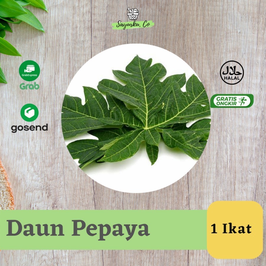 

Daun Pepaya Segar 1 Ikat / Sayuran Segar