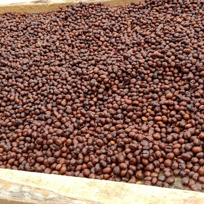 

Kopi Puntang Wine 500 Gram Kopi Arabika Gn Puntang
