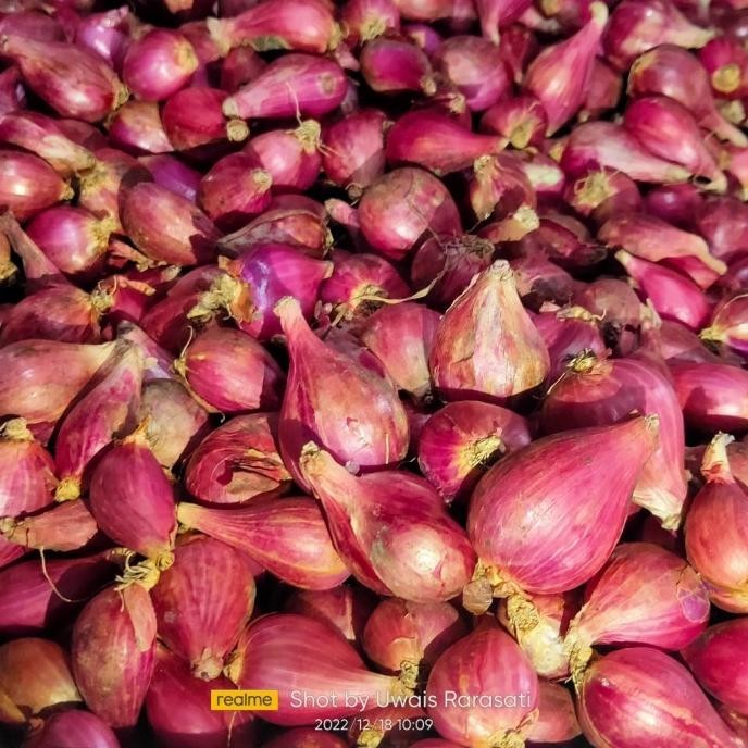 

TERBARU BAWANG MERAH ASLI BREBES FRESH KERING 1KG !!!!!