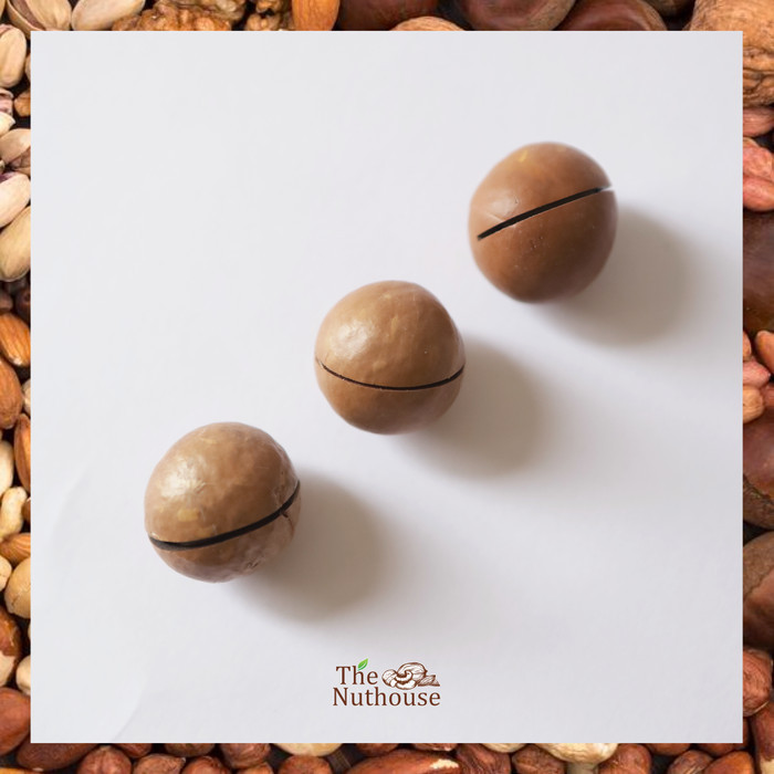

1kg Roasted Macadamia Nuts with Shell / Kacang Macadamia Panggang