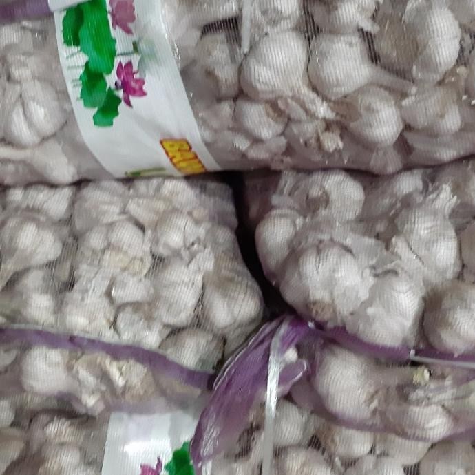 

len Bawang putih Kating super @500gram