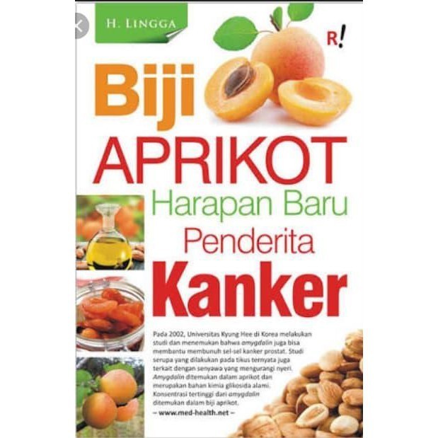 AMPUH BIJI APRIKOT PAHIT ORGANIK / BITTER APRICOT KERNEL ORGANIC HUNZA