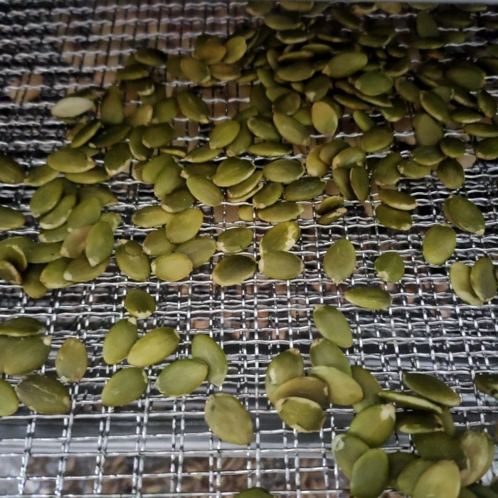 

1000gr Activated Pumpkin Seeds - Aktivasi Biji Labu - Matang