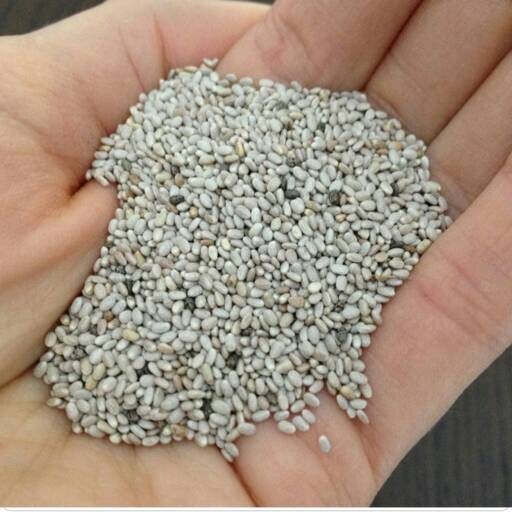 

Organic White Chia Seed - Australia 300Gr