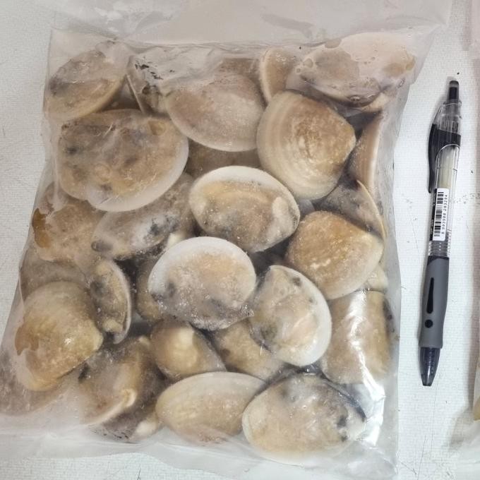 

Kerang tahu setengah cangkang/Kerang tahu helf shell @1kg NS99