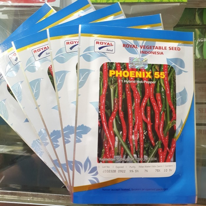 Benih Cabe Keriting Phoenix 55 F1 10Gr / Bibit Cabe Keriting Phoenix