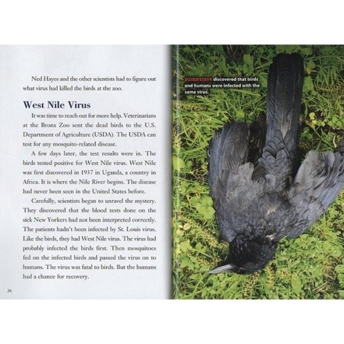 [New] Scholastic Xbooks Medical & Forensics/Buku Scholastic Anak