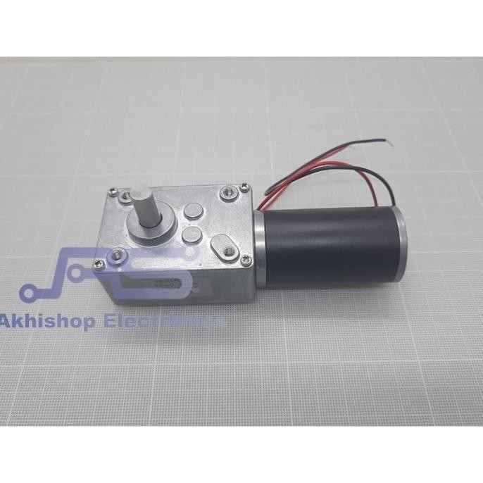 Permanent Magnet Worm Gear Motor DC 4058GW31ZY 24V 40RPM