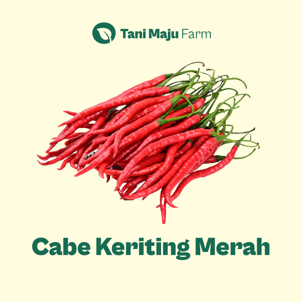 

TANI MAJU - Cabe Keriting Merah Lombok Cabai Chili Fresh Organik (100 Gram) - Rempah & Bumbu