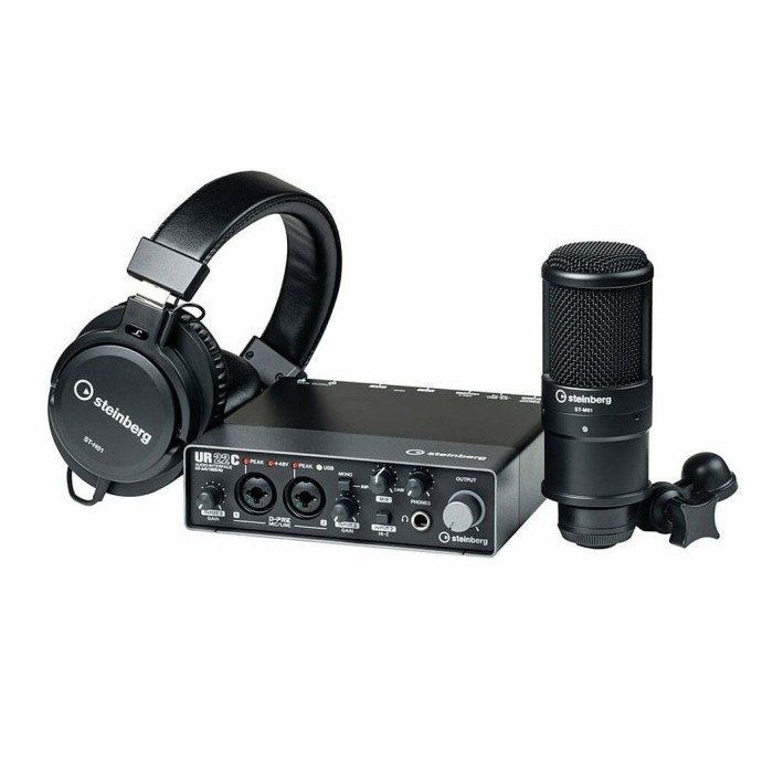 

Steinberg UR22 MKII Recording Pack