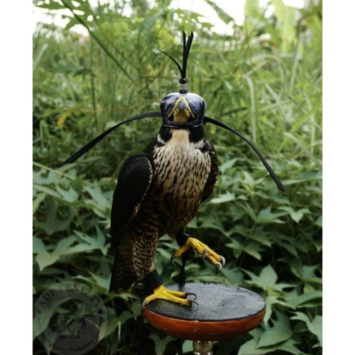 Terjamin Asli Tutup Kepala Elang Atau Alap Alap / Falconry Hood