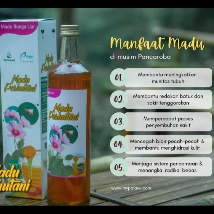 

Ready madu bunga liar asli perhutani 650ml