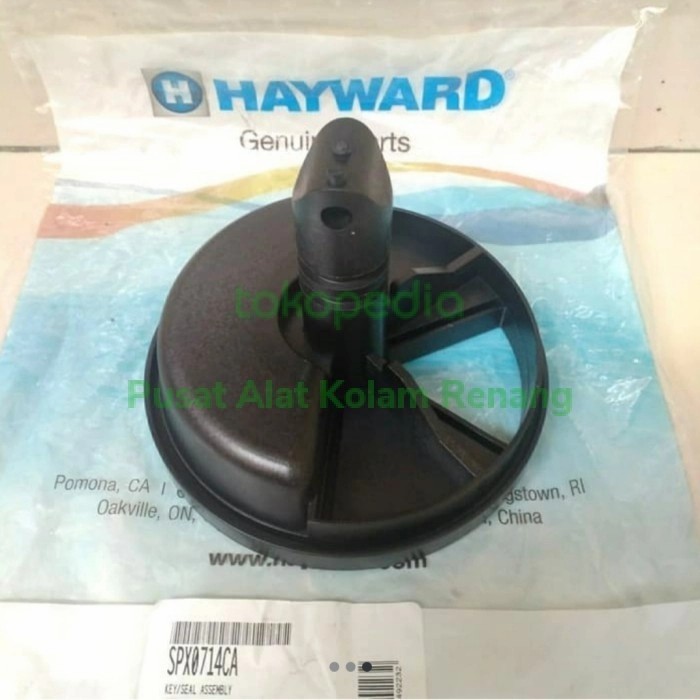 Valve Gasket Filter Hayward Kolam Renang