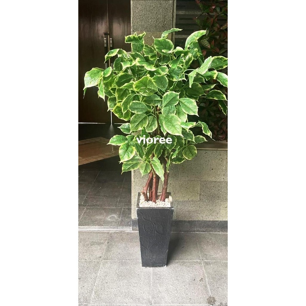 Pohon Hias Artificial Sinfu Tanaman Pot Plastik Besar Dekorasi Pojok