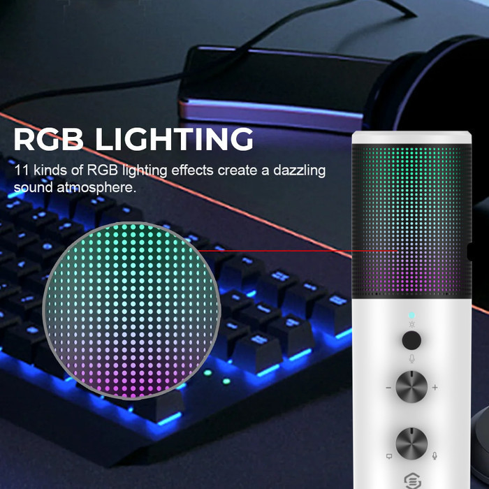 SOUNDTECH Lite 2.0 crophone Condenser Cardioid USB Stand for PC