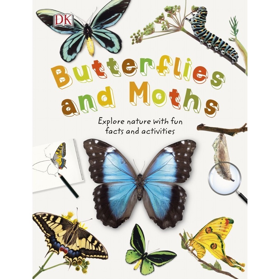 

Butterflies and Moths ( D )
