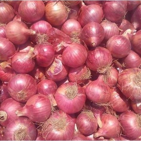 

INDIAN ONION -BAWANG MERAH INDIA- ( NASHIK - MAHARASHTRA ) - 01 KILO