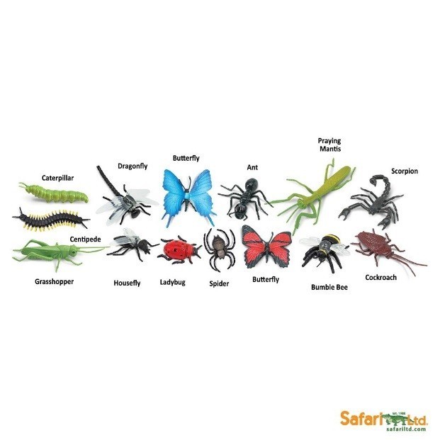 BARU SAFARI LTD. - INSECTS
