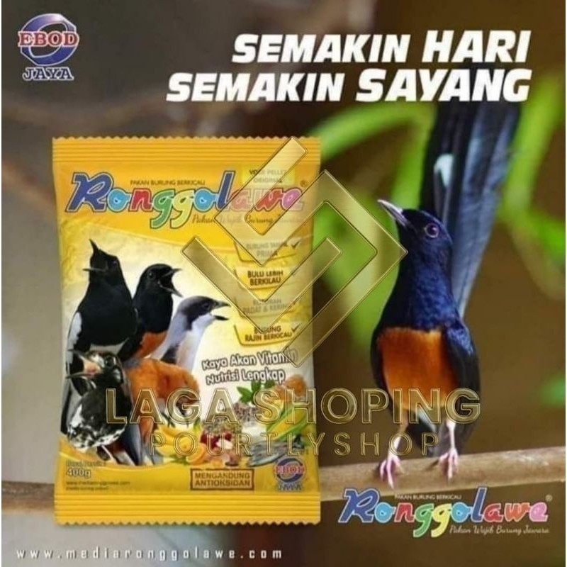 pakan ebod ronggolawe voer kuning murai kacer jalak anis Lampam ID