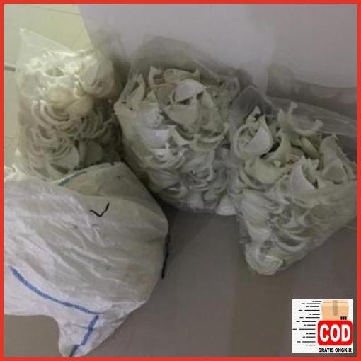 Promo Sarang Walet Imitasi Merk Koloni Walet /Sarang Imitasi / Sarang Palsu / Sarimi / Fake Nest / S