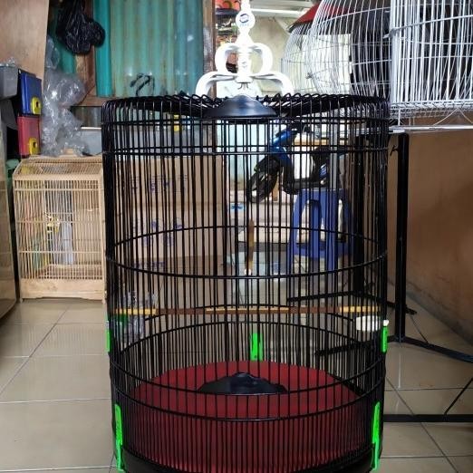 Kandang/Sangkar Burung Murai Merk Ebod No.3