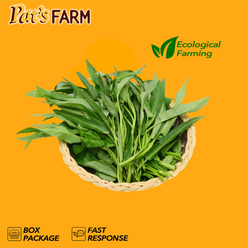 

Kangkung