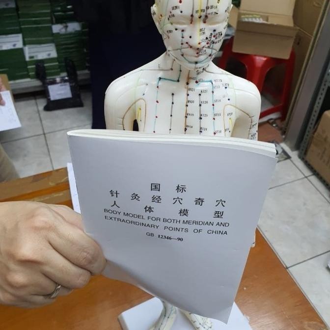 Patung Akupuntur Model WANITA / Boneka Titik Titik Akupuntur