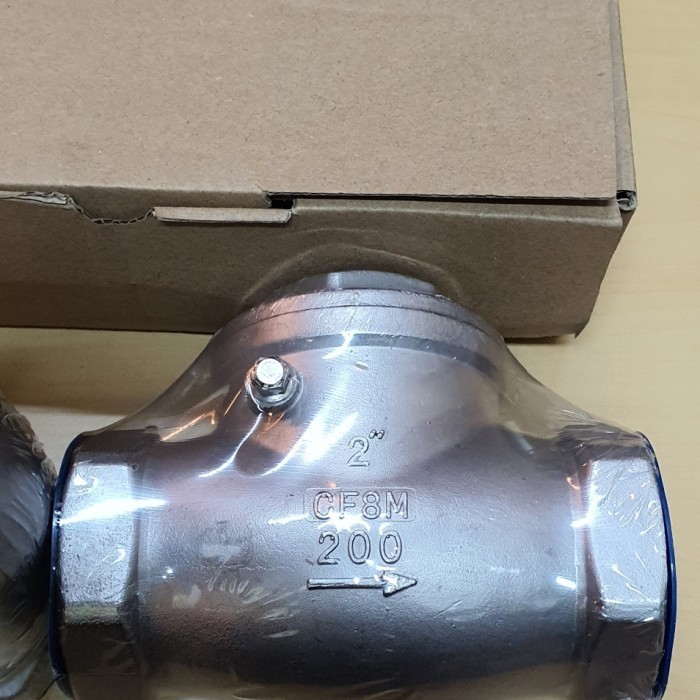 Check Valve Stainless steel 316 3/4"(inch) swing check valve