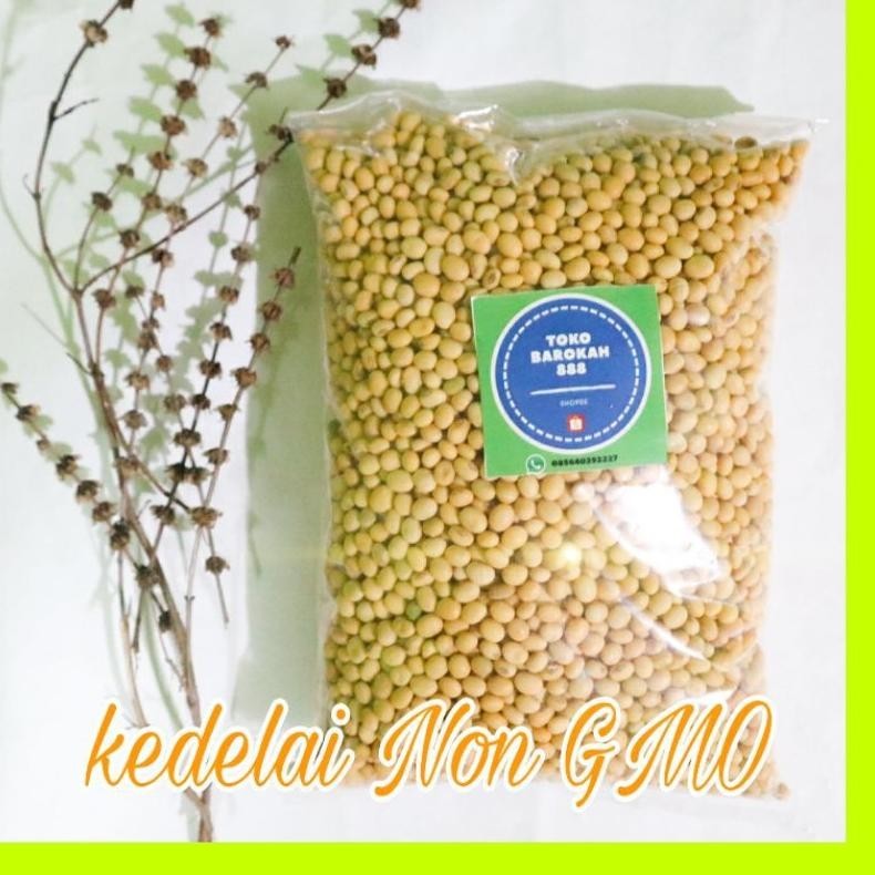 

5 Kg Kedelai Putih Kedelai Non Gmo Kedelai Lokal 5000 Gram 5 Kilogram(Bukan Import) Mpasi Susu Tempe Bisa Cod