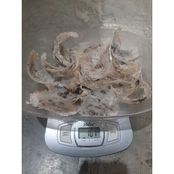

Original Sarang Walet Kg