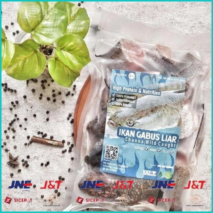 

BISMILLAH IKAN GABUS LIAR BY PURE ORGANIC | CHANNA WILD CAUGHT | HIGIENIS | TANPA PENGAWET | TANPA FORMALIN ALISUP