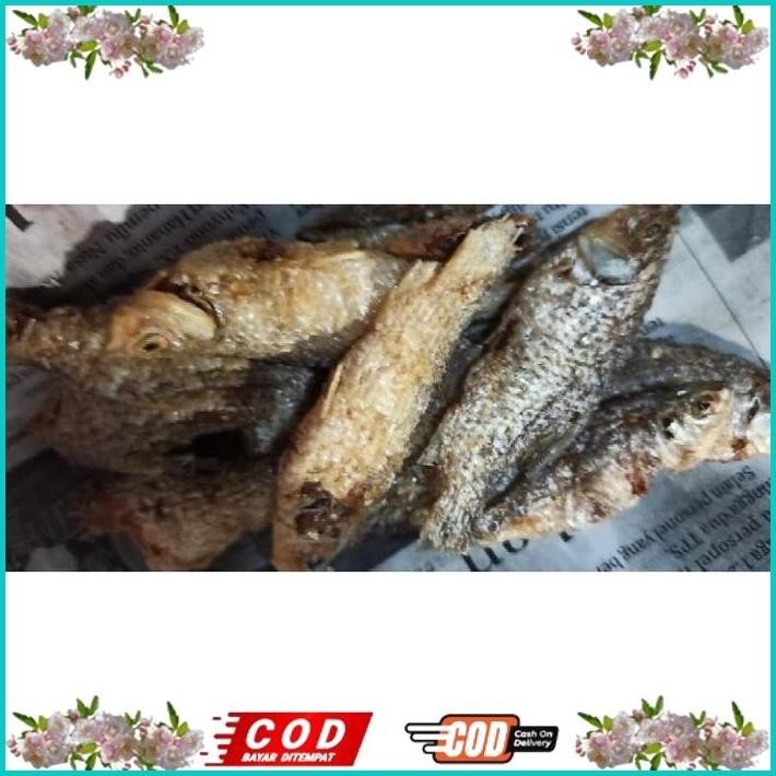 

BISMILLAH IKAN WADER CRISPY 1 KG (TANPA TEPUNG) ALISUP