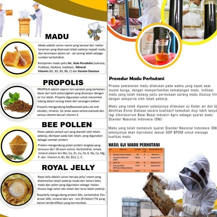 

Madu Perhutani - Madu Murni Alami Bunga Liar 650Ml