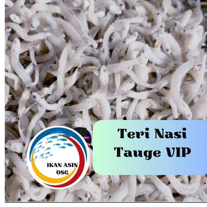 

ikan asin tn tauge vip / teri nasi size jumbo 1kg