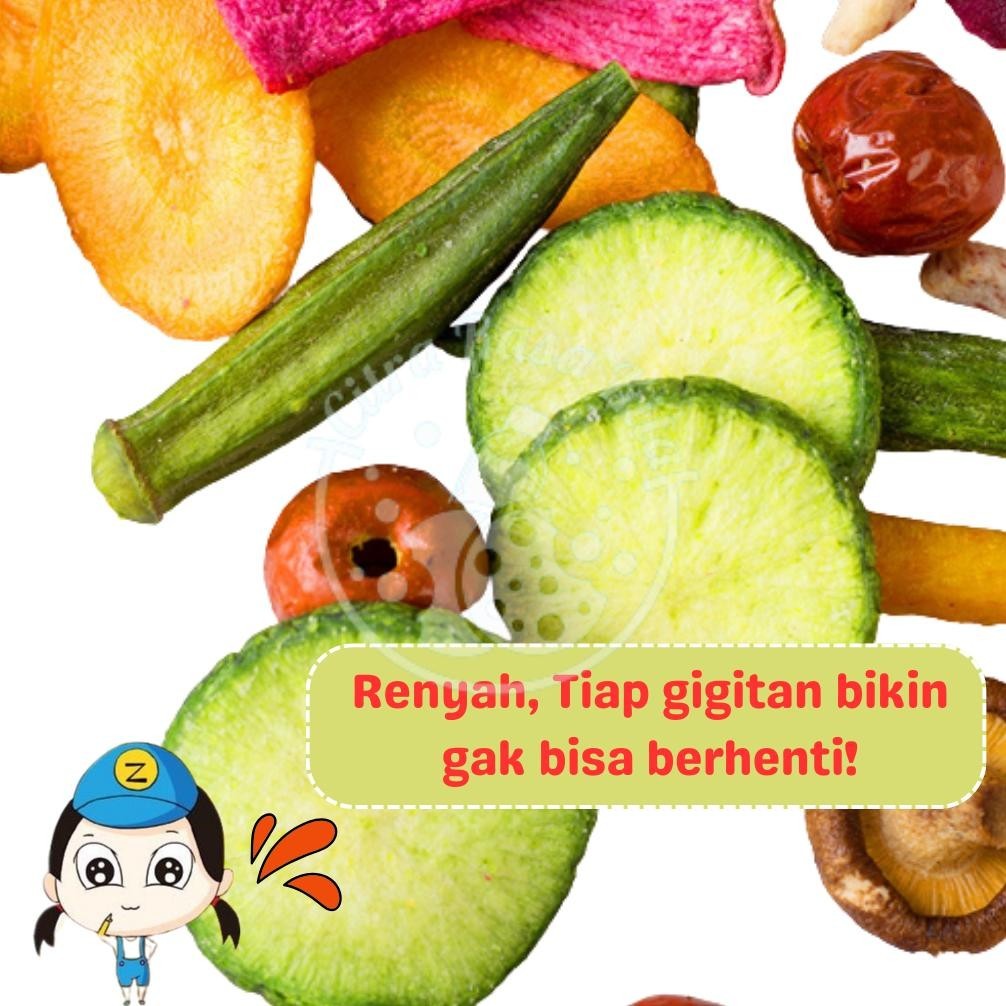 

To94 Cemilan Sehat Snack Import Kripik Sayur Buah Kering Campuran 12 Macam (250gr) Hemat