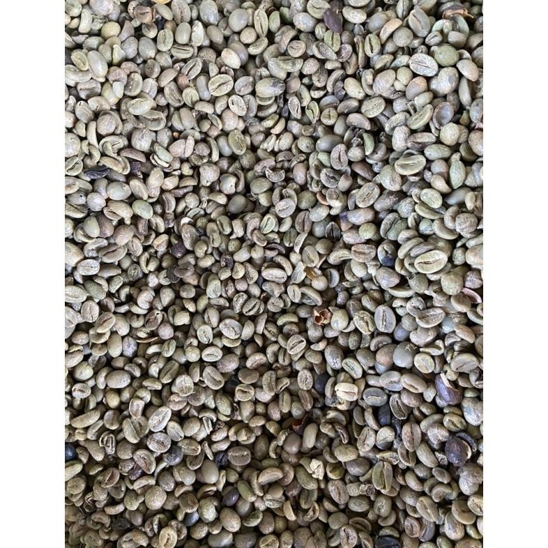 

QIG-1722 BIJI KOPI GREEN BEAN ARABICA 1KG KOMERSIL Original