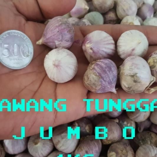 

Bawang Putih Tunggal/Bawang Lanang Ukuran Besar 1 Kg