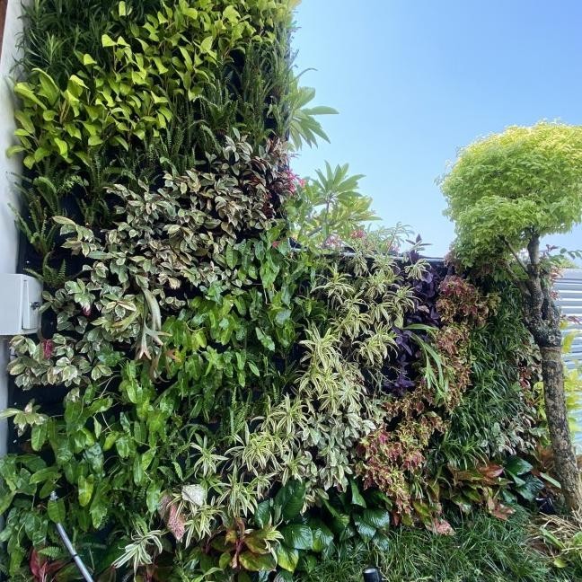 Karpet Vertical Garden Siap Pakai Geotextile